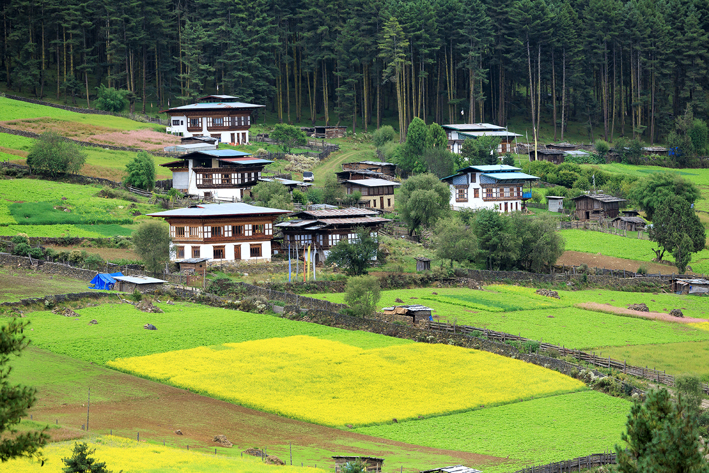 Green summer valleys in Bhutan
